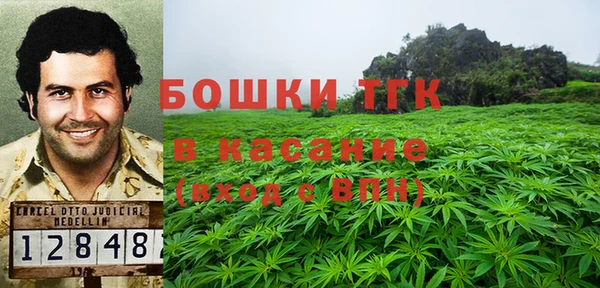 ГАЛЛЮЦИНОГЕННЫЕ ГРИБЫ Волосово